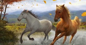 Tumačenje snova: konj, zašto sanjate konja, konja u snu